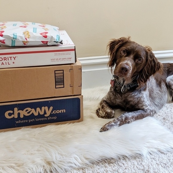 Meet your Posher, Holly - Picture 2 of 8